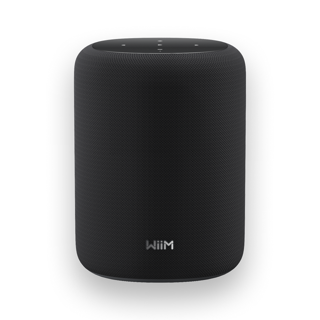 WiiM Sound Lite Smart Speaker